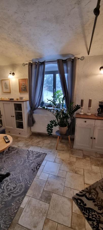 Monteur-Ferienwohnung Ot Naundorf Naundorf  Екстер'єр фото