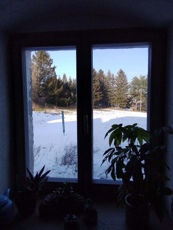 Monteur-Ferienwohnung Ot Naundorf Naundorf  Екстер'єр фото